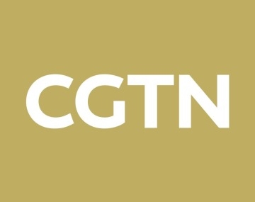 CGTN Araştırması: ŞİÖ Üyeleri Arasında Ticaret Hacmi 523,5 Milyar Dolara Ulaştı