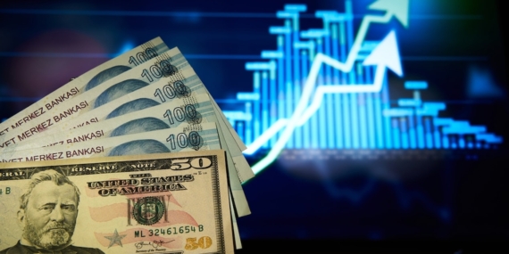 Dolar/TL Haftaya Rekorla Başlayarak 49,1630 Seviyesine Yükseldi
