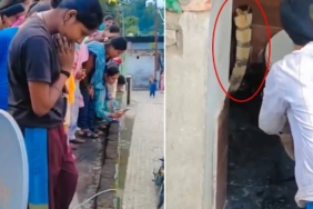 Hindistan'da bir evin klozetinden çıkan dev kobra yılanı paniğe neden oldu