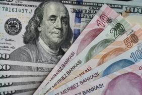 Dolar/TL Kuru 49,1800 Seviyesine Tırmanarak Yeni Zirvesine Ulaştı