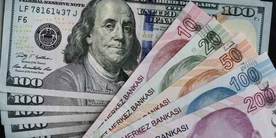 Dolar/TL Kuru 49,1800 Seviyesine Tırmanarak Yeni Zirvesine Ulaştı