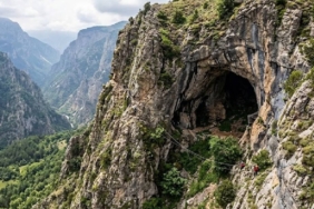 Artvin'de Sarp Mağaralardan Hasat Edilen Elf Balının Kilogramı 264 Bin Liraya Ulaştı